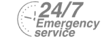 24/7 Emergency Service Pest Control in Barnet, High Barnet, Arkley, EN5. Call Now! 020 8166 9746