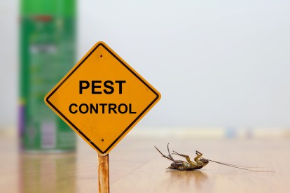 Pest Contol in Barnet, High Barnet, Arkley, EN5. Call Now 020 8166 9746